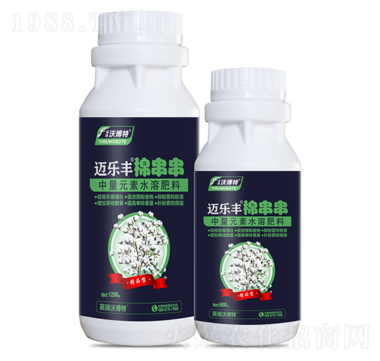 �޴���-�~��(l��)�S-Ӣ���ֲ���