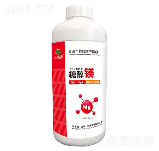 �Ǵ��V-�뮀��