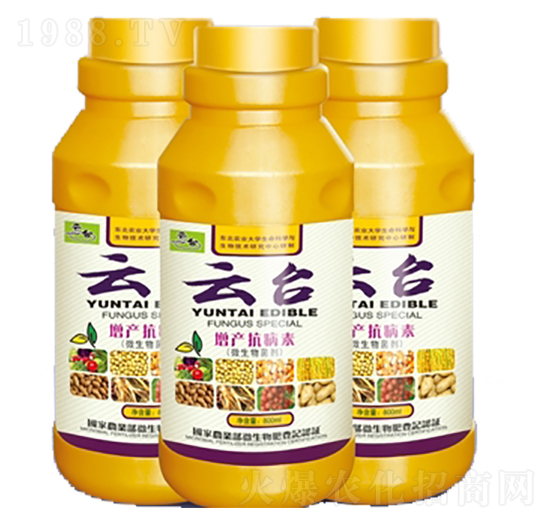 ���a(ch��n)������-���_(t��i)