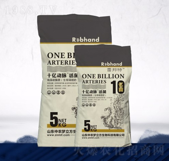 ʮһ���}���-���r(n��ng)��