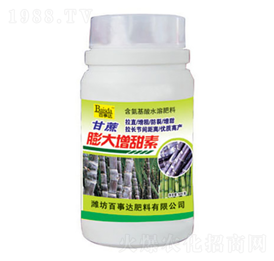 �������������-�����_