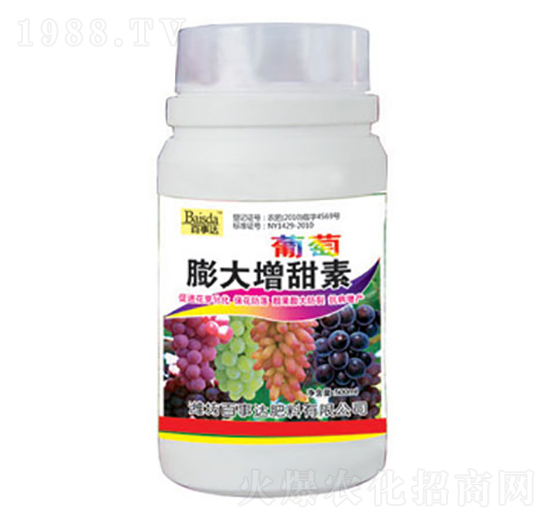 �������������-�����_