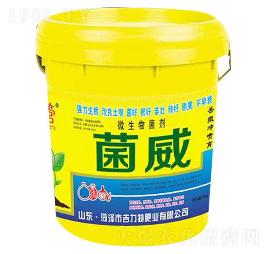 ����΢�������-�����طʘI(y��)