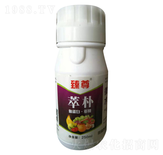 �~(y��)���ס�����-�����͘�-�����طʘI(y��)