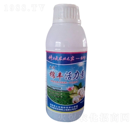 ���S������-����-�Ό�