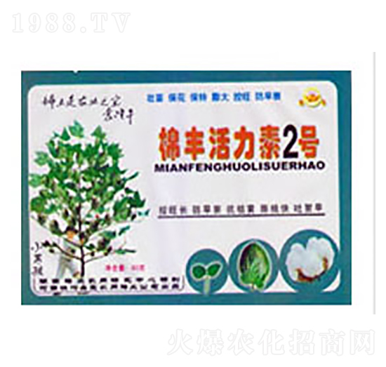 ���S������2̖(h��o)-�Ό�