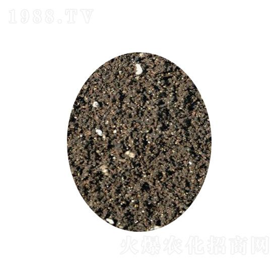 ���ߠI�B(y��ng)��-�s�S����