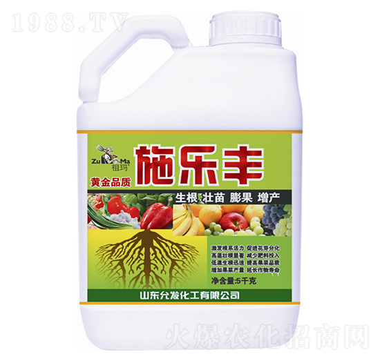 ʩ���S-�欔-�ʰl(f��)����