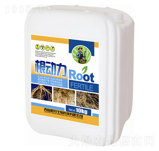 10kg������-�欔-�ʰl(f��)����