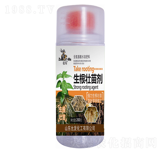 �������焩-�欔-�ʰl(f��)����