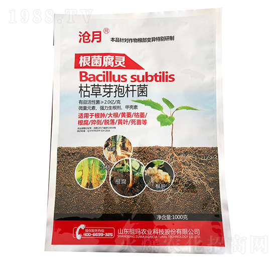 �ݲ�ѿ�ߗU��-�������`-����-�ʰl(f��)����