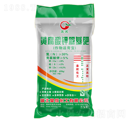 �S����������-���l(f��)-��������