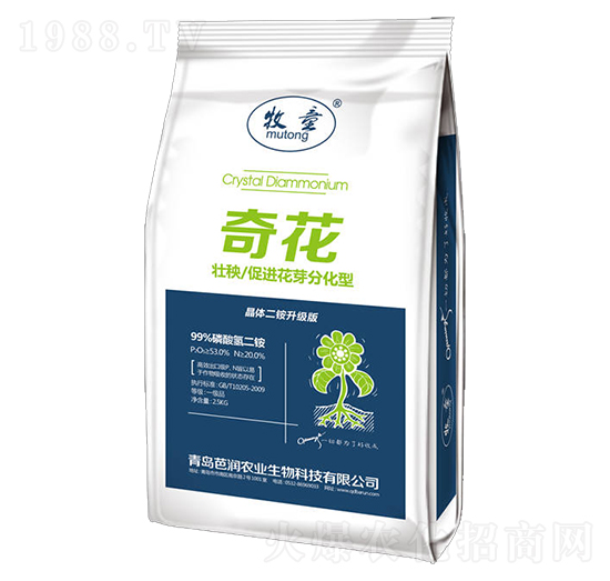 �������@-�滨-�ŝ�