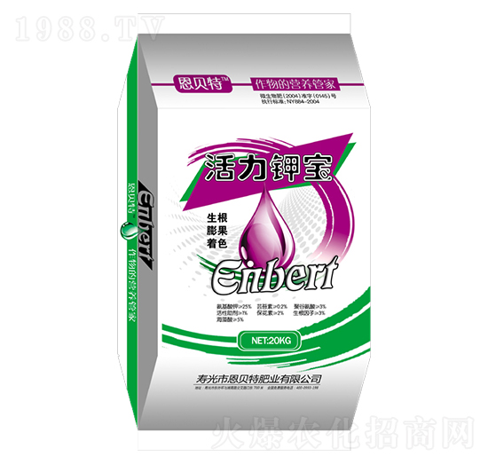 ����⛌�-��ؐ��