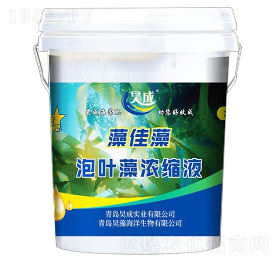 ���~���sҺ-�����-껳Ɍ��I(y��)