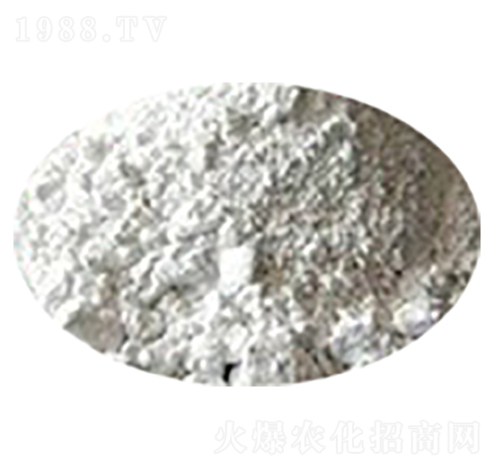 ���������|(zh��)ĵϠ��-��������