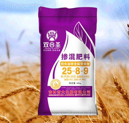 ��ʧ���\����I�B(y��ng)�͓������25-8-9-�p��ʥ-����