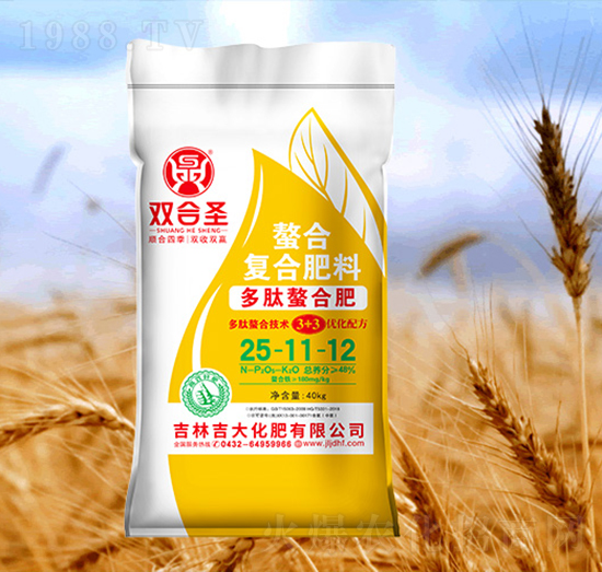 �p��ʥ���ϏͺϷ�25-11-12-����