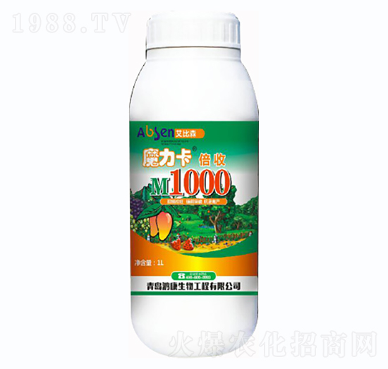 ħ��������-��������