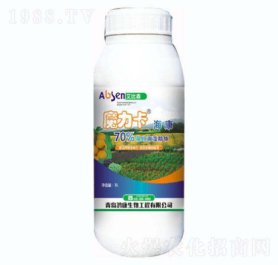 ħ��������-����ɭ-��������