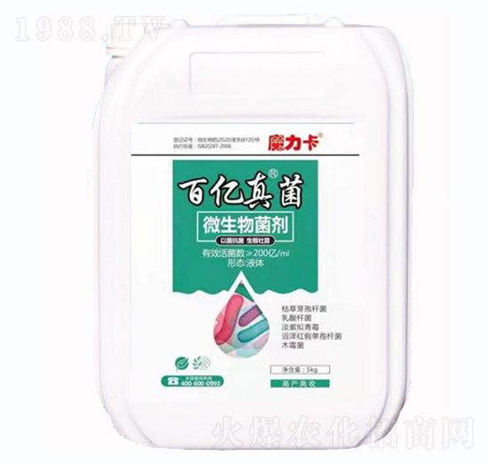 ΢�������-�ك|���-��������