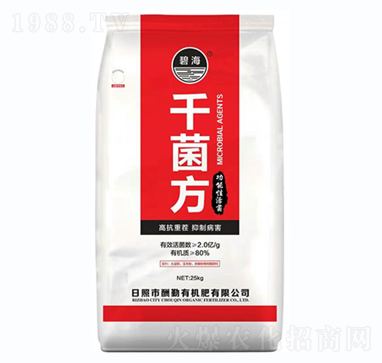 ǧ����-����