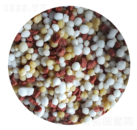 ��ጓ�����ϣ����w����-����������