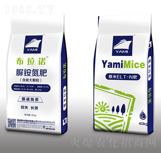 �������-�����Z-��������