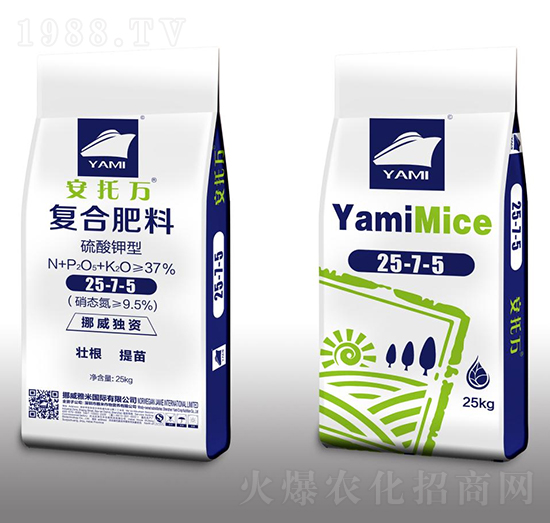 ������͏ͺϷ���25-7-5-�����f-��������