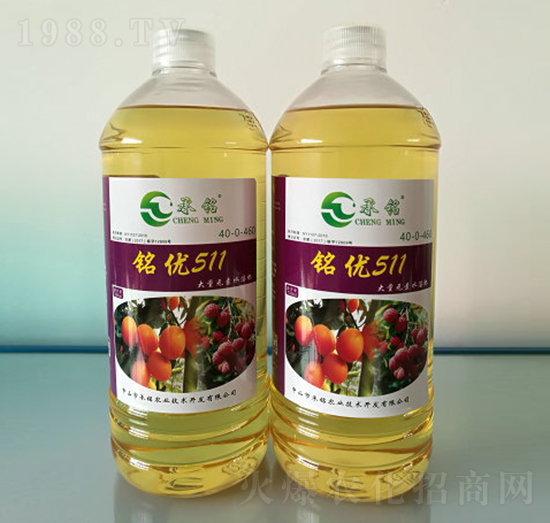 �S��⛷�-㑃�(y��u)511-����r(n��ng)�I(y��)