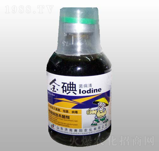 ��������-ِ�����