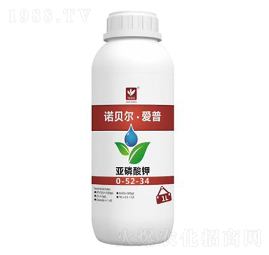 �������0-52-34-�Zؐ������(��i)��-��(l��)����