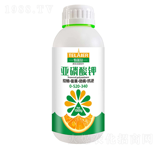 �������0-520-340-���R��