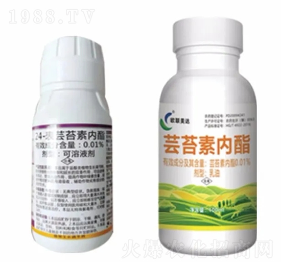 �|̦�؃�(n��i)֬-�W(li��n)���_(d��)