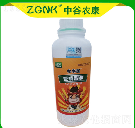 �������0-525-275+TE-��ţ��-�й��r��