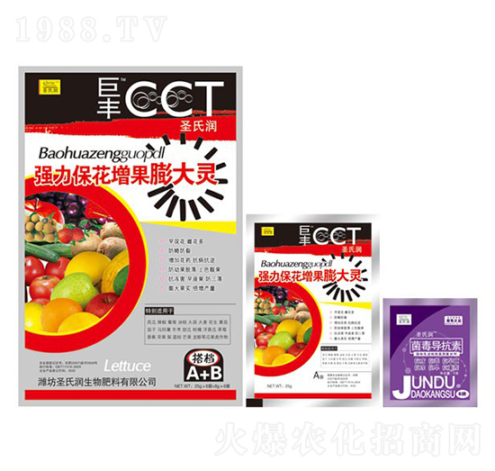 ��(qi��ng)��������������`-ʥ�ϝ�(r��n)