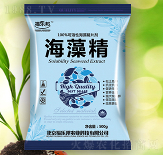 ���徫-������