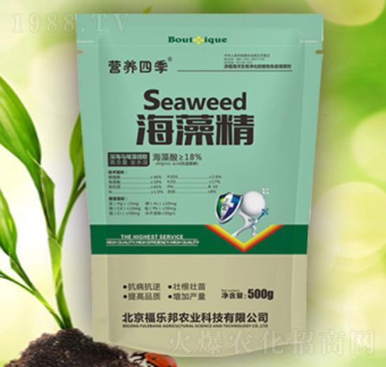 �I�B(y��ng)�ļ����徫-������