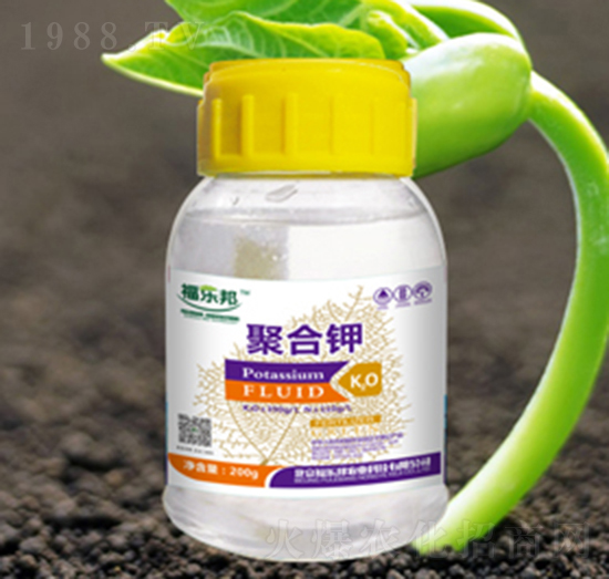 200g�ۺ��-����(l��)��