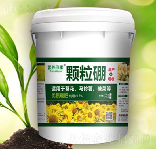 �I�B(y��ng)�ļ��w����-������