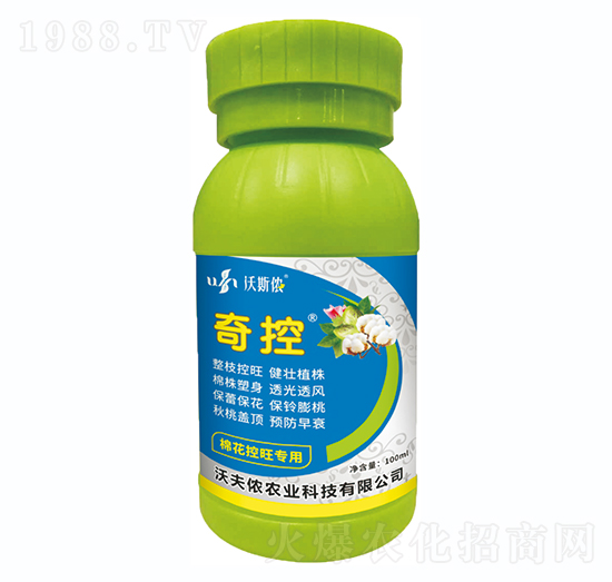 �޻���������-���-�ַ�z