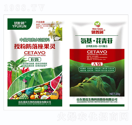 ����Ԫ��ˮ�ܷʡ��ڷ۷��������`+������������-һ������