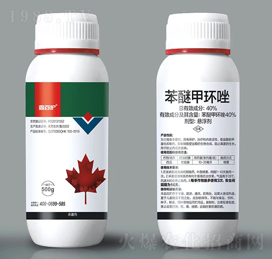 40%���Ѽ׭h(hu��n)��-�ΰ��o