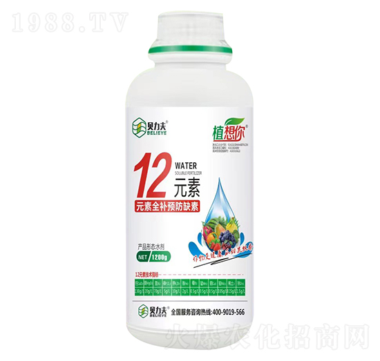 12Ԫ��-ؐ����-��?t��ng)��S