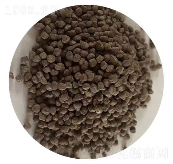 �S��������@�w��-�ǈ�