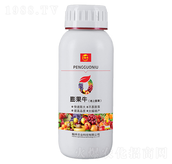 ���ţ-�����r(n��ng)�I(y��)