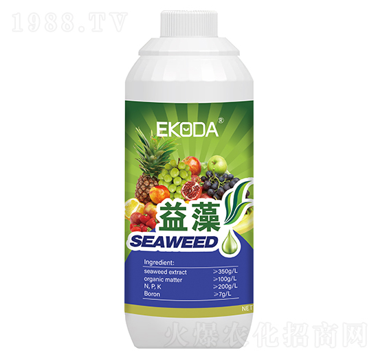 ����-����_(d��)-�к̄���