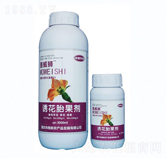 �����\�f-ī���{�T��̥����-�����r�I(y��)