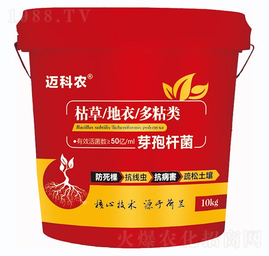 ѿ�ߗU��-�~���r(n��ng)-�Έ�����