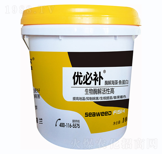 ø�⺣���~(y��)����-��(y��u)���a(b��)-�Έ�����